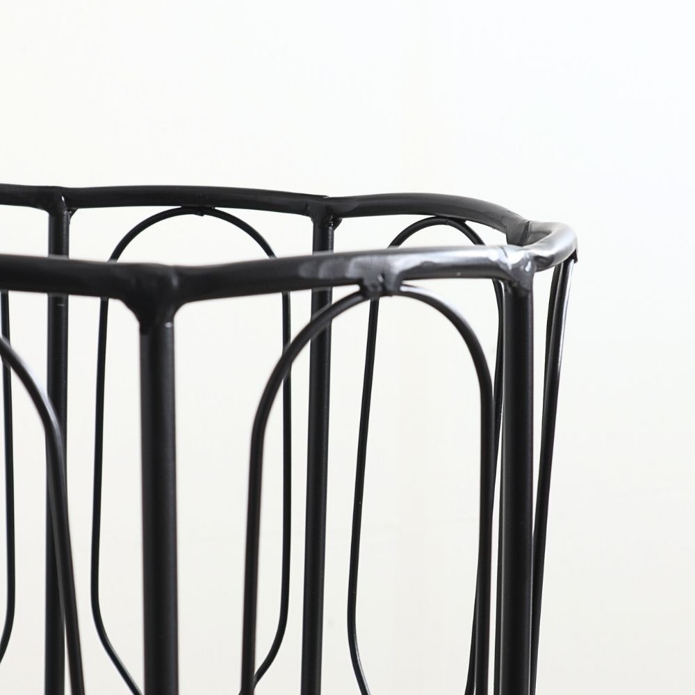 ��Ω�� ����ץ�ݷ� ���������� ��24cm�ä������ʥ���ƥꥢ��͢�����ߥ����ڸ������Ρ�