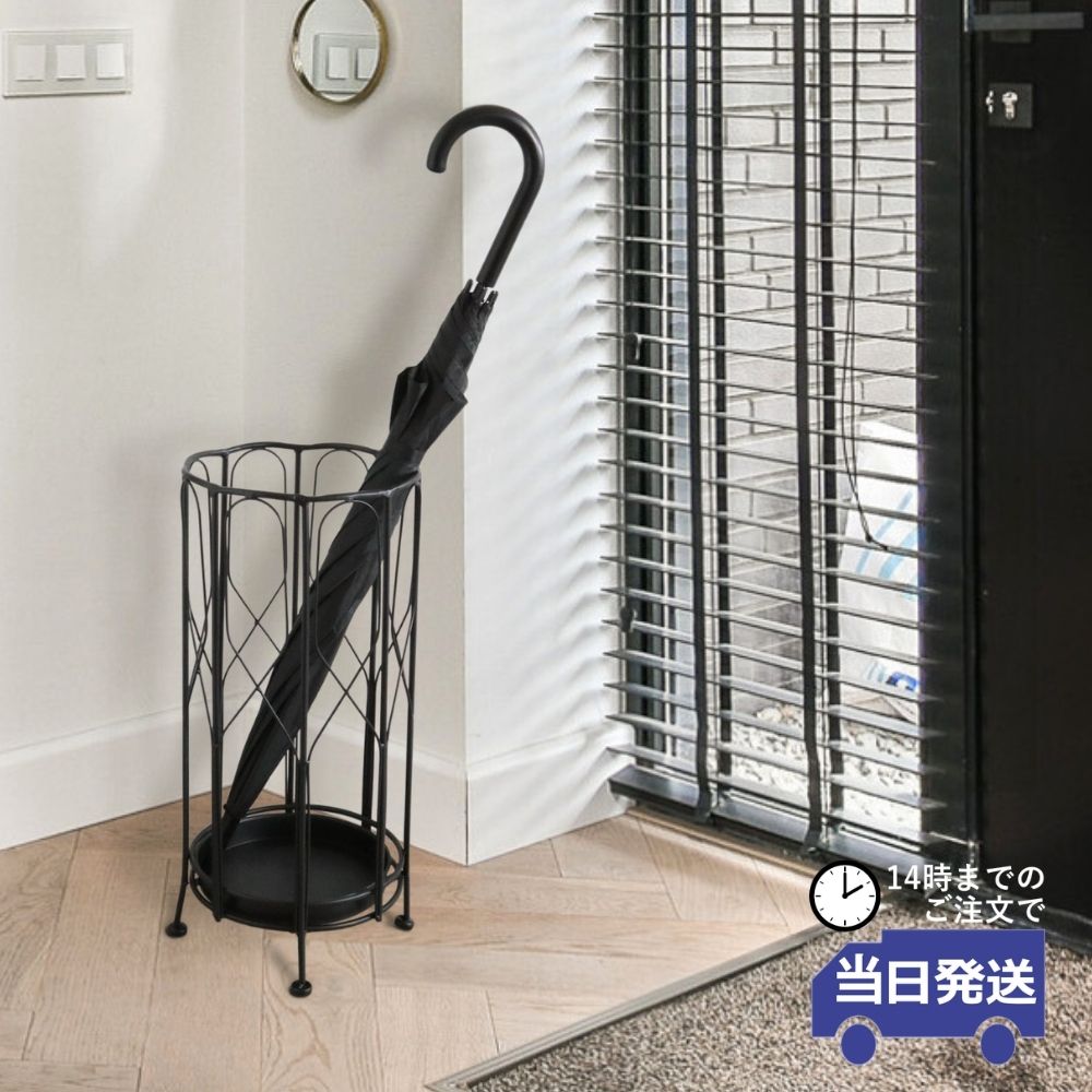 ��Ω�� ����ץ�ݷ� ���������� ��24cm�ä������ʥ���ƥꥢ��͢�����ߥ����ڸ������Ρ�