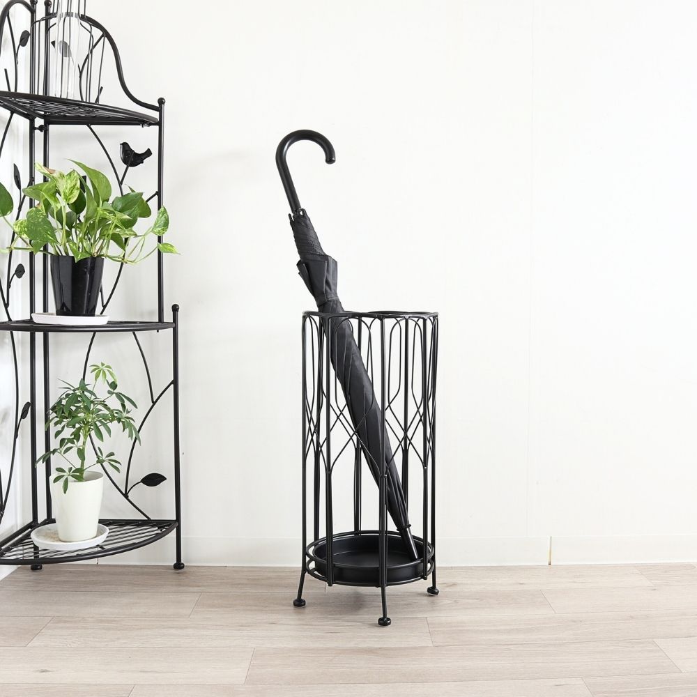 ��Ω�� ����ץ�ݷ� ���������� ��24cm�ä������ʥ���ƥꥢ��͢�����ߥ����ڸ������Ρ�