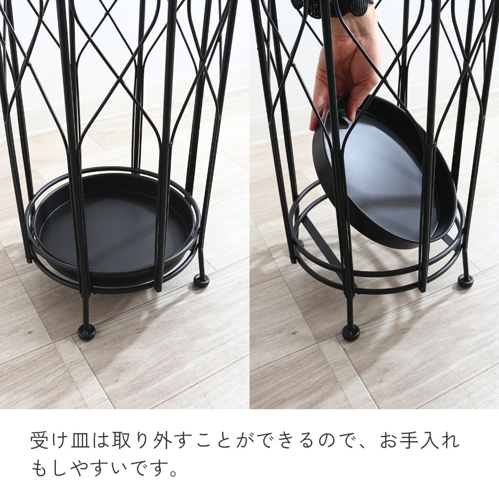 ��Ω�� ����ץ�ݷ� ���������� ��24cm�ä������ʥ���ƥꥢ��͢�����ߥ����ڸ������Ρ�