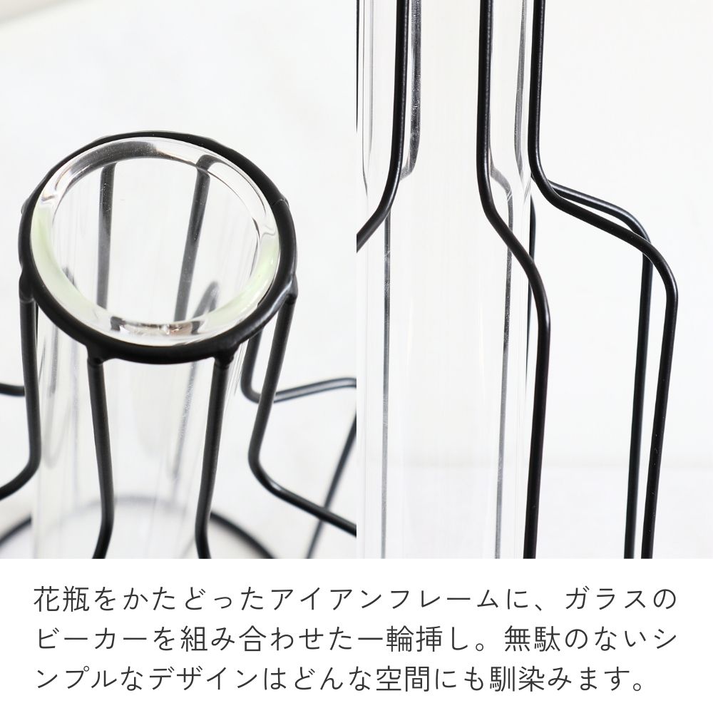 ����ץ�ʰ����ޤ� �����ʲ��� �⤵24cm�ä������ʥ���ƥꥢ��͢�����ߥ����ڸ������Ρ�