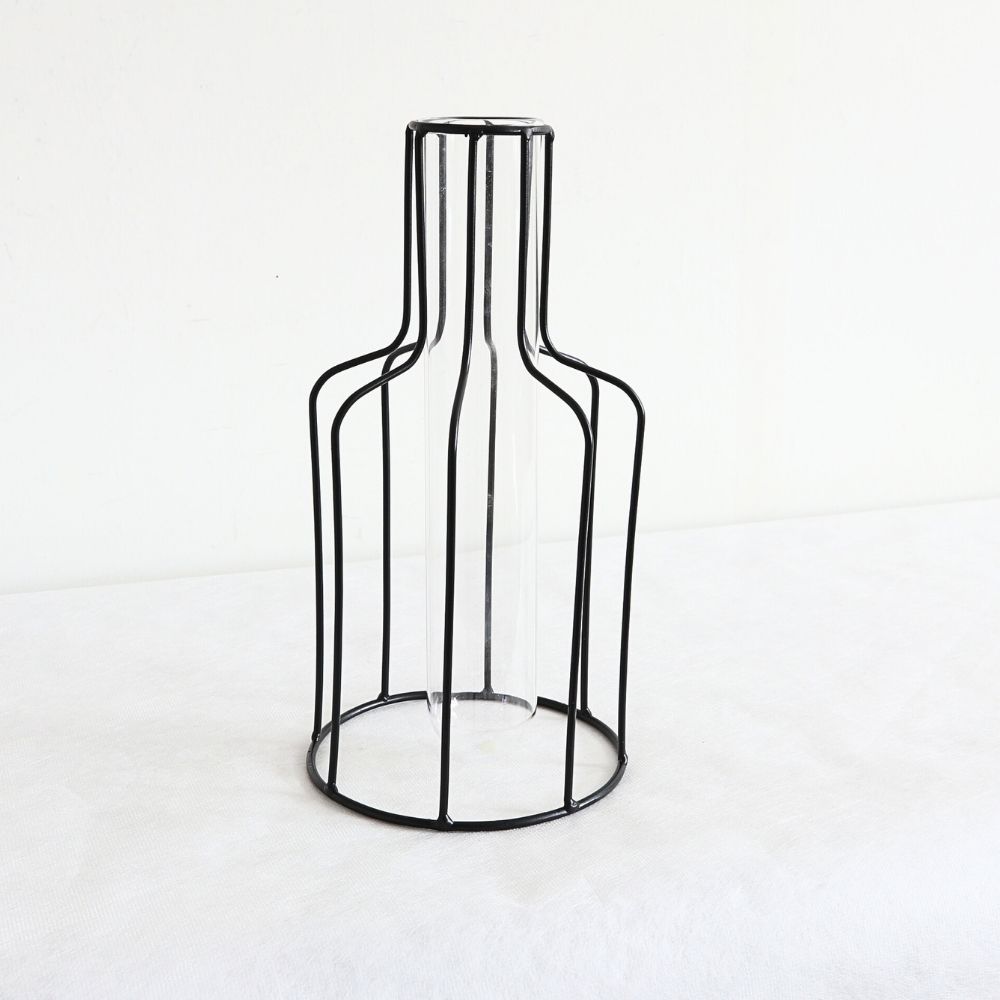 ����ץ�ʰ����ޤ� �����ʲ��� �⤵24cm�ä������ʥ���ƥꥢ��͢�����ߥ����ڸ������Ρ�