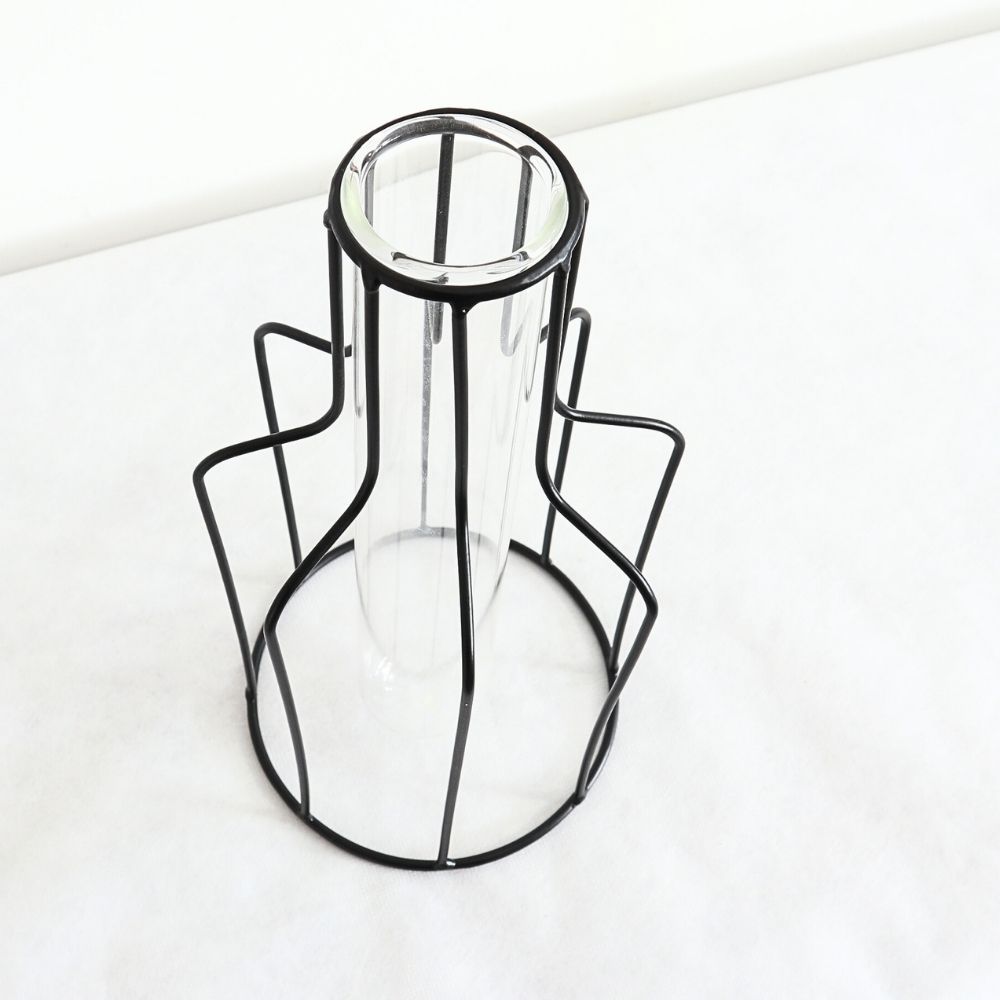 ����ץ�ʰ����ޤ� �����ʲ��� �⤵24cm�ä������ʥ���ƥꥢ��͢�����ߥ����ڸ������Ρ�