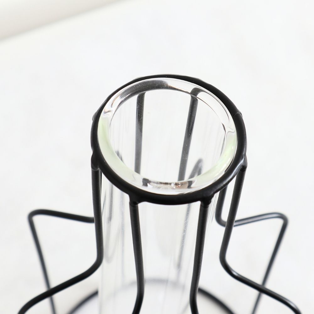 ����ץ�ʰ����ޤ� �����ʲ��� �⤵24cm�ä������ʥ���ƥꥢ��͢�����ߥ����ڸ������Ρ�