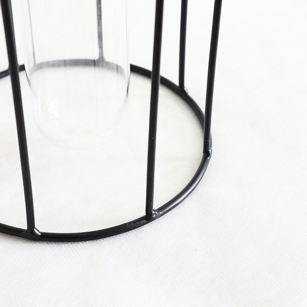 ����ץ�ʰ����ޤ� �����ʲ��� �⤵24cm�ä������ʥ���ƥꥢ��͢�����ߥ����ڸ������Ρ�