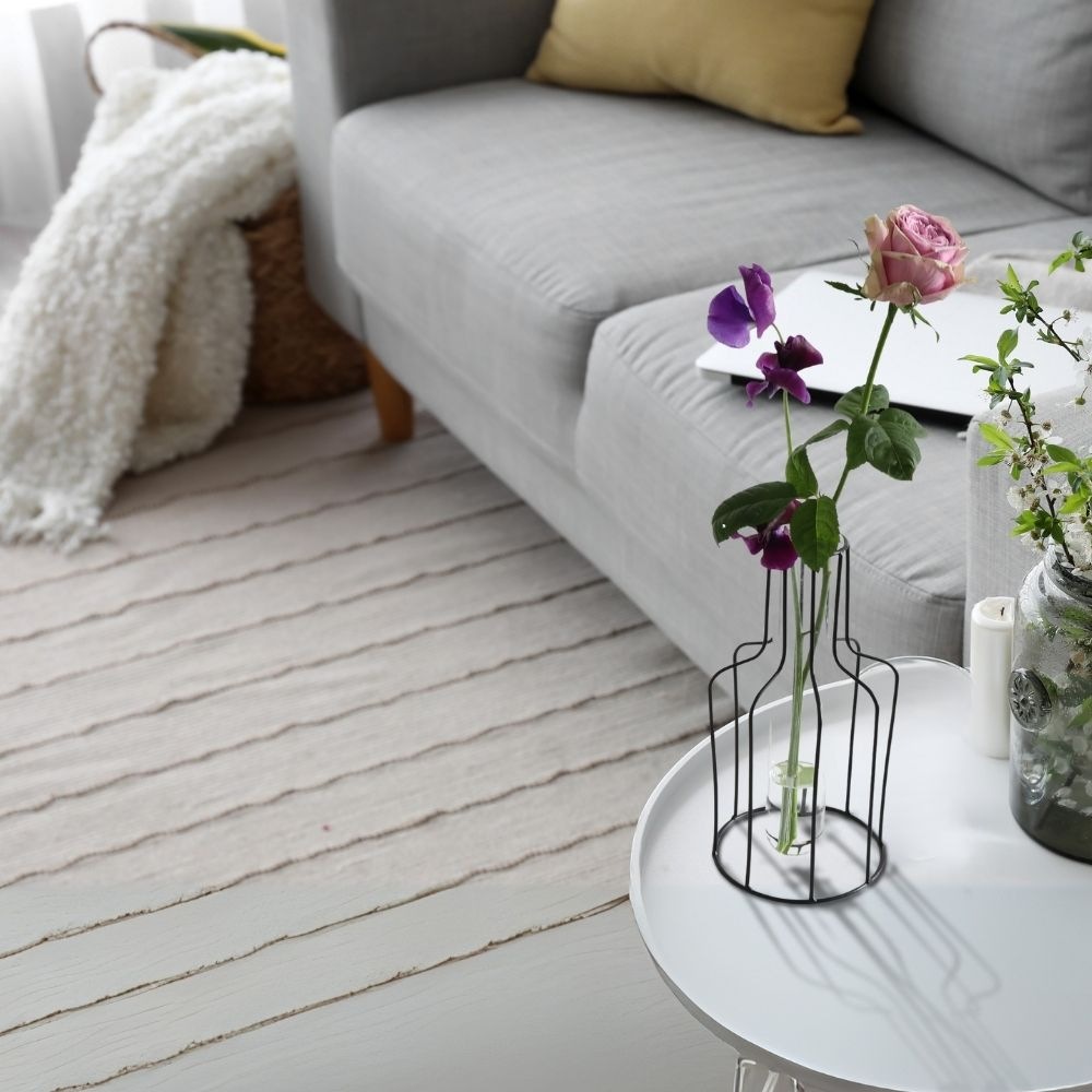 ����ץ�ʰ����ޤ� �����ʲ��� �⤵24cm�ä������ʥ���ƥꥢ��͢�����ߥ����ڸ������Ρ�