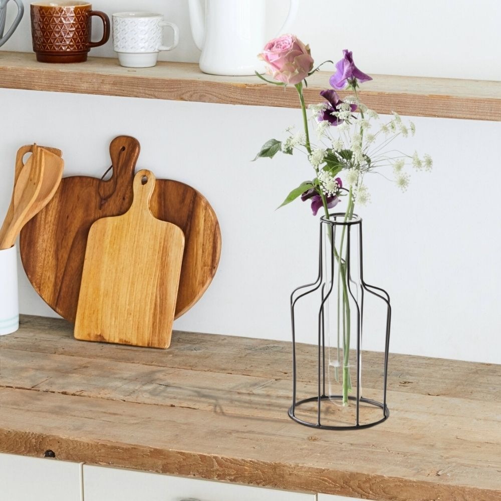 ����ץ�ʰ����ޤ� �����ʲ��� �⤵24cm�ä������ʥ���ƥꥢ��͢�����ߥ����ڸ������Ρ�