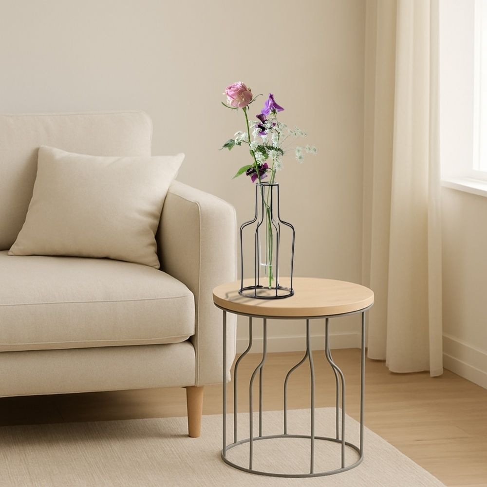 ����ץ�ʰ����ޤ� �����ʲ��� �⤵24cm�ä������ʥ���ƥꥢ��͢�����ߥ����ڸ������Ρ�