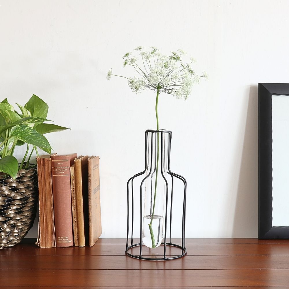 ����ץ�ʰ����ޤ� �����ʲ��� �⤵24cm�ä������ʥ���ƥꥢ��͢�����ߥ����ڸ������Ρ�