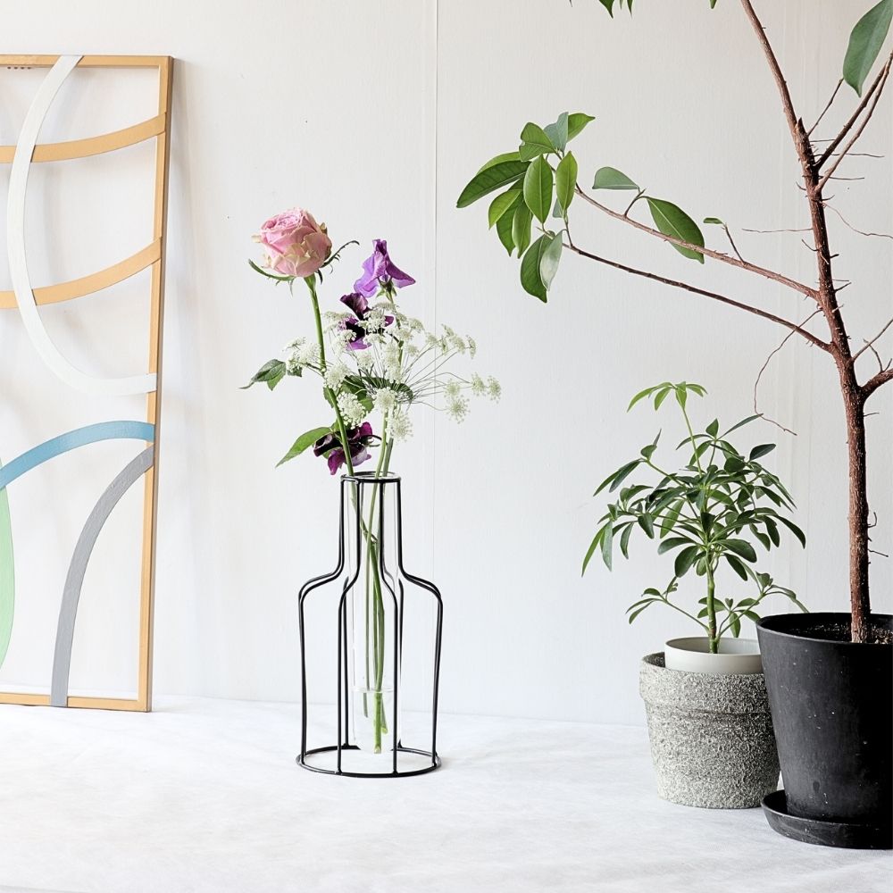 ����ץ�ʰ����ޤ� �����ʲ��� �⤵24cm�ä������ʥ���ƥꥢ��͢�����ߥ����ڸ������Ρ�