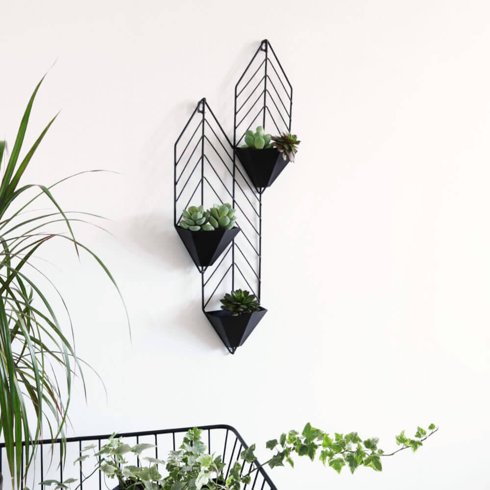 �ɳݤ��ץ�󥿡� ����� �֥�å� ��30cm�߹⤵72cm�ä������ʥ���ƥꥢ��͢�����ߥ����ڸ������Ρ�