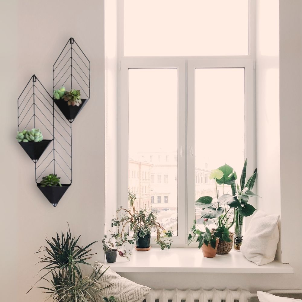 �ɳݤ��ץ�󥿡� ����� �֥�å� ��30cm�߹⤵72cm�ä������ʥ���ƥꥢ��͢�����ߥ����ڸ������Ρ�