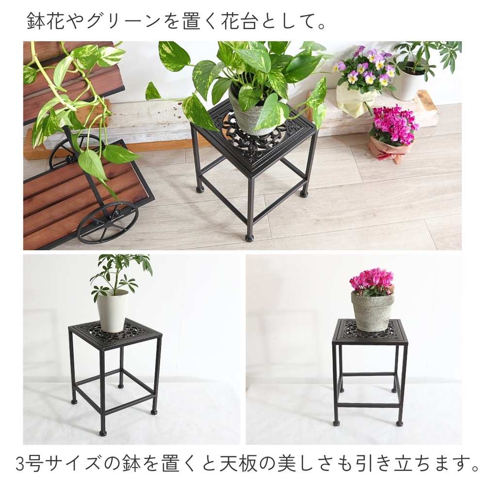 ���� �������󥹥���� ����ץ� �ͳѷ� �⤵28cm�ä������ʥ���ƥꥢ��͢�����ߥ����ڸ������Ρ�