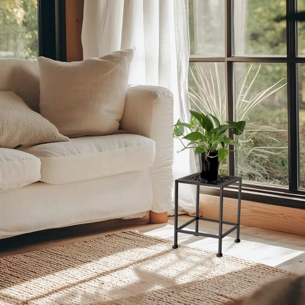 ���� �������󥹥���� ����ץ� �ͳѷ� �⤵28cm�ä������ʥ���ƥꥢ��͢�����ߥ����ڸ������Ρ�