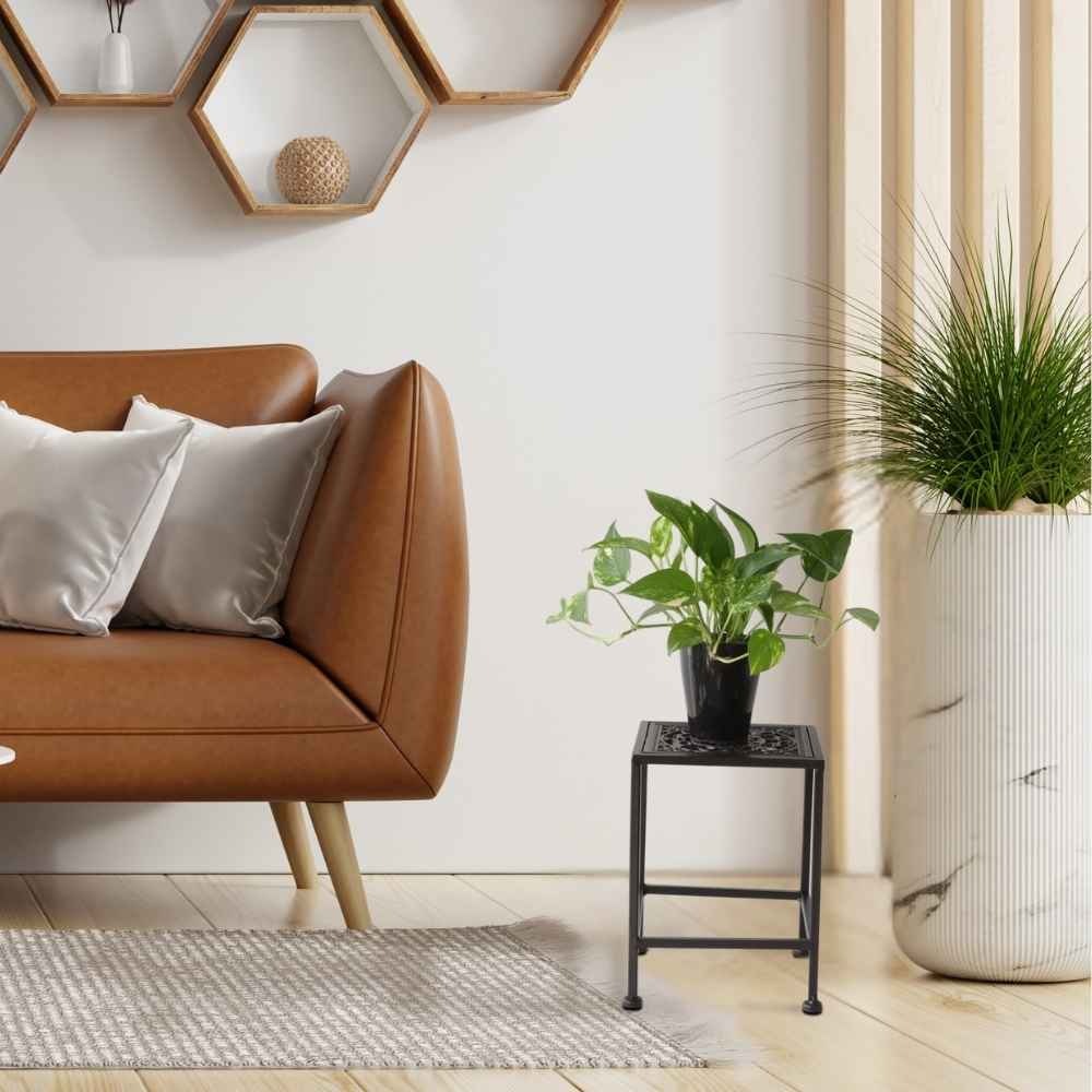 ���� �������󥹥���� ����ץ� �ͳѷ� �⤵28cm�ä������ʥ���ƥꥢ��͢�����ߥ����ڸ������Ρ�