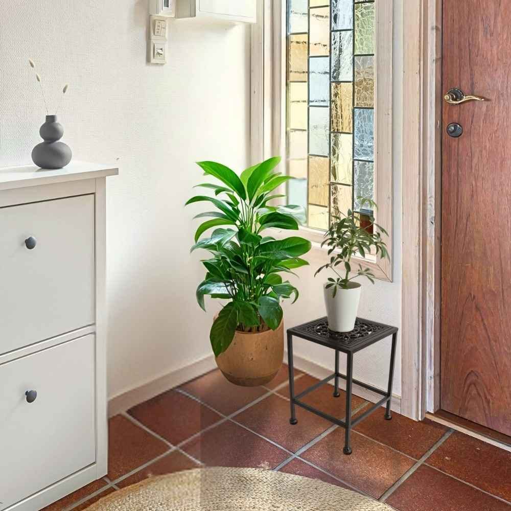 ���� �������󥹥���� ����ץ� �ͳѷ� �⤵28cm�ä������ʥ���ƥꥢ��͢�����ߥ����ڸ������Ρ�