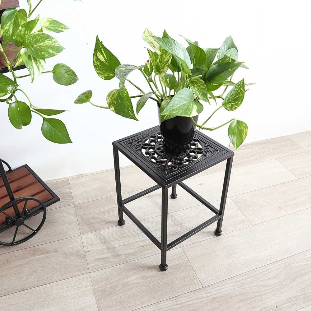 ���� �������󥹥���� ����ץ� �ͳѷ� �⤵28cm�ä������ʥ���ƥꥢ��͢�����ߥ����ڸ������Ρ�