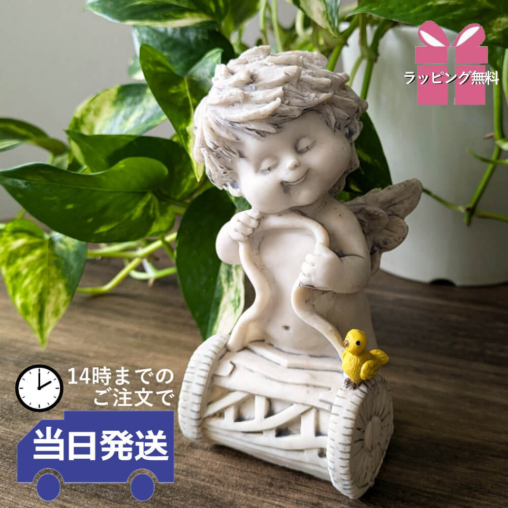 ʪ 󥸥B ʥ  ⤵15cmäʥƥꥢ͢ߥڸΡ