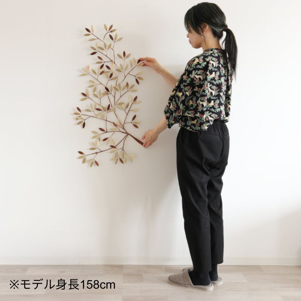 ����ƥꥢ�ɾ��� ������� ��70cm�߹⤵90cm�ä������ʥ���ƥꥢ��͢�����ߥ����ڸ������Ρ�