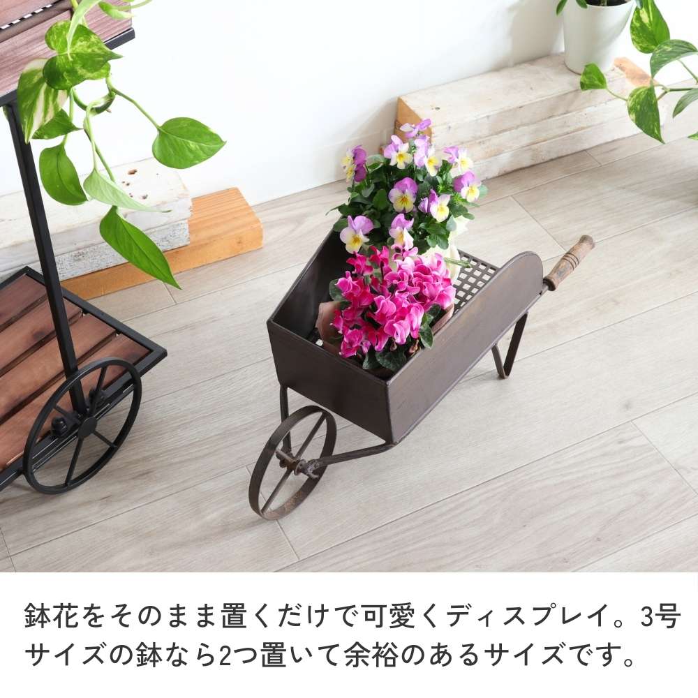 ���� �ե������� ��ȥ��ʼ겡���֡ä������ʥ���ƥꥢ��͢�����ߥ����ڸ������Ρ�