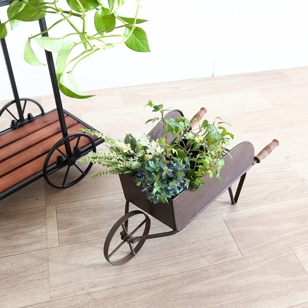 ���� �ե������� ��ȥ��ʼ겡���֡ä������ʥ���ƥꥢ��͢�����ߥ����ڸ������Ρ�