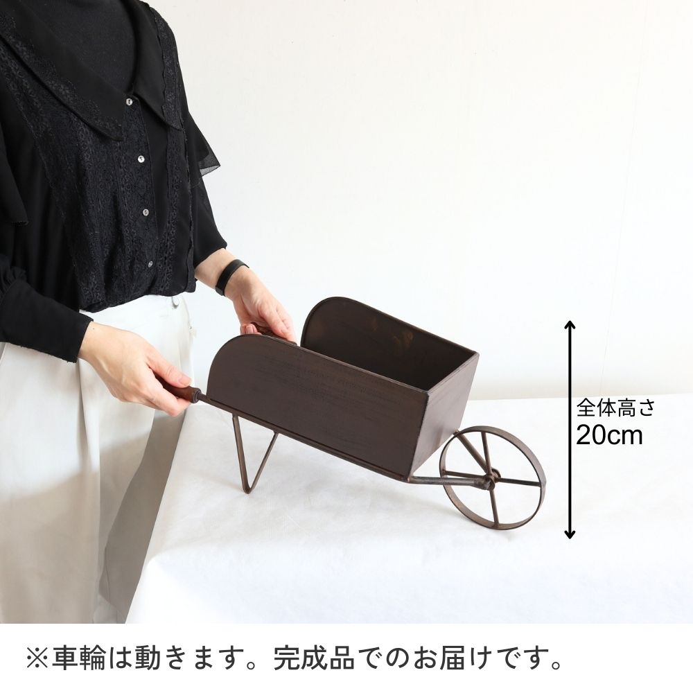 ���� �ե������� ��ȥ��ʼ겡���֡ä������ʥ���ƥꥢ��͢�����ߥ����ڸ������Ρ�