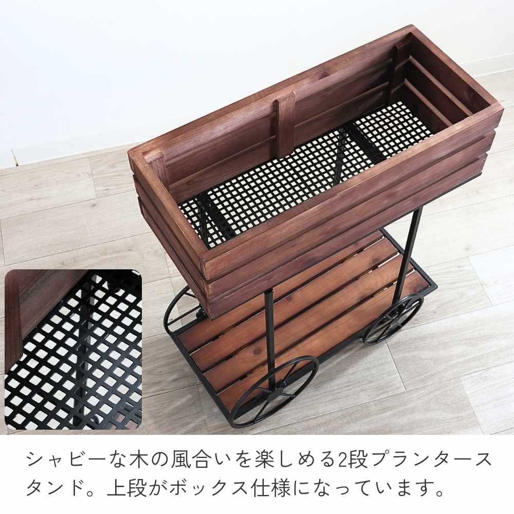 ���� �ե������� ���� �ܥå��� �⤵62cm�ä������ʥ���ƥꥢ��͢�����ߥ����ڸ������Ρ�