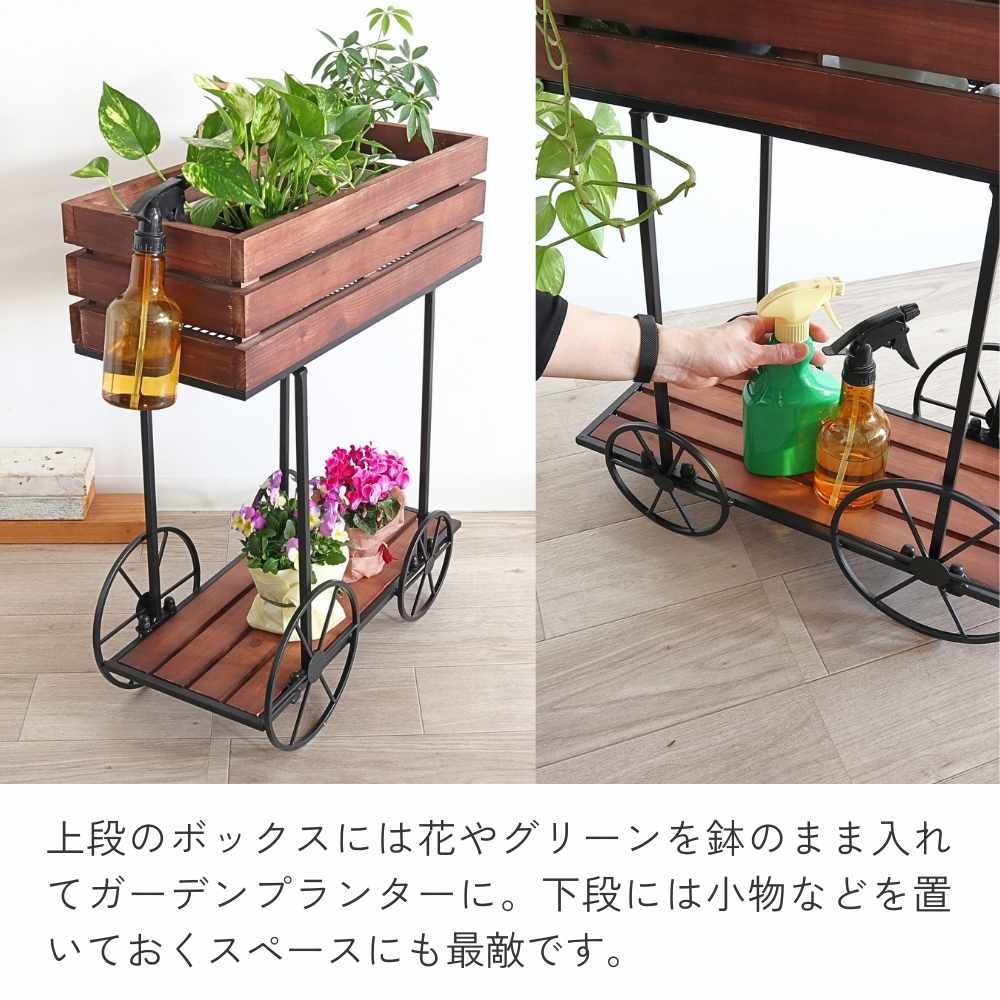 ���� �ե������� ���� �ܥå��� �⤵62cm�ä������ʥ���ƥꥢ��͢�����ߥ����ڸ������Ρ�