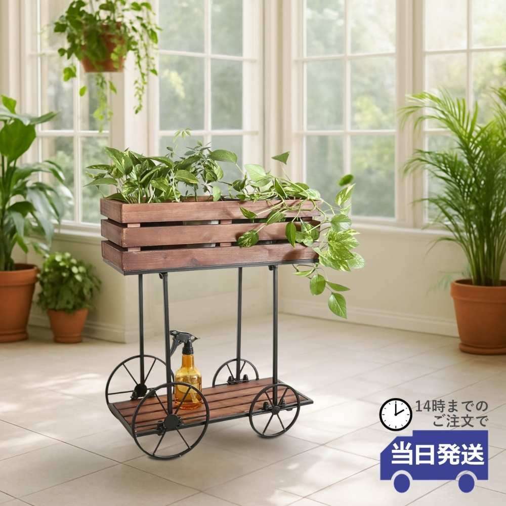 ���� �ե������� ���� �ܥå��� �⤵62cm�ä������ʥ���ƥꥢ��͢�����ߥ����ڸ������Ρ�