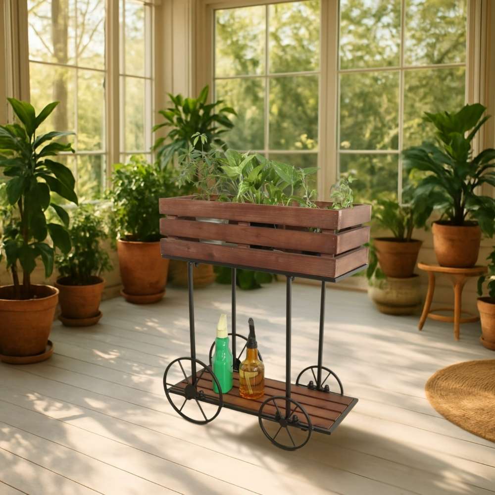 ���� �ե������� ���� �ܥå��� �⤵62cm�ä������ʥ���ƥꥢ��͢�����ߥ����ڸ������Ρ�