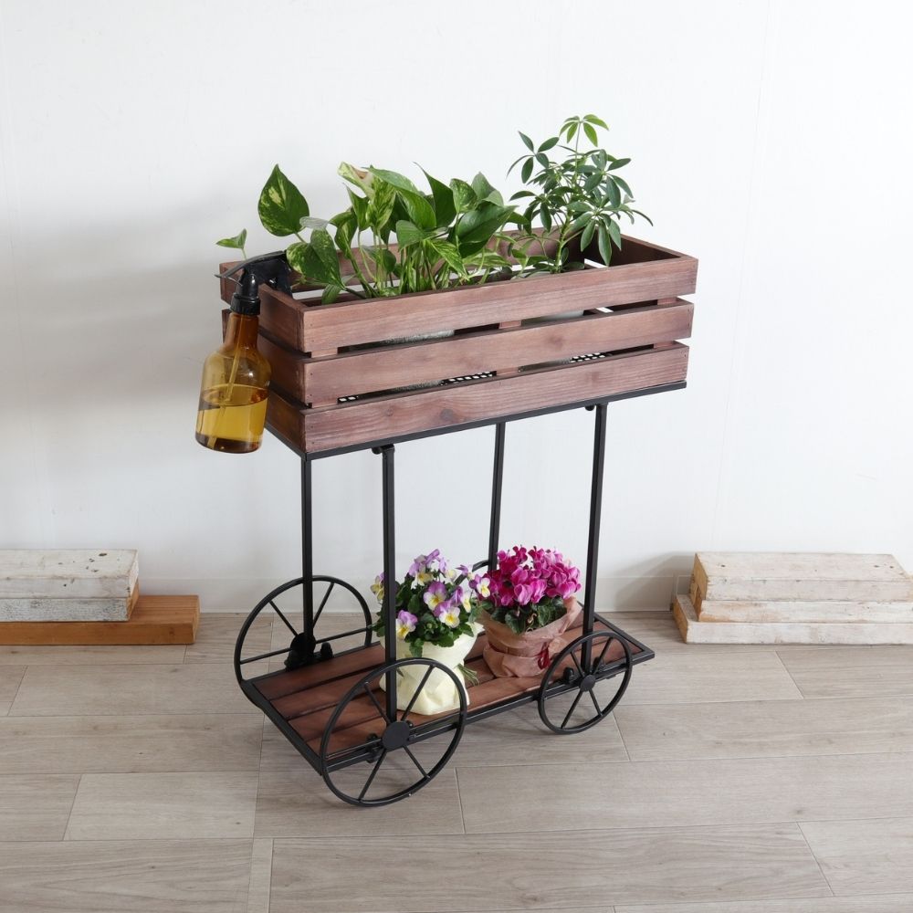 ���� �ե������� ���� �ܥå��� �⤵62cm�ä������ʥ���ƥꥢ��͢�����ߥ����ڸ������Ρ�