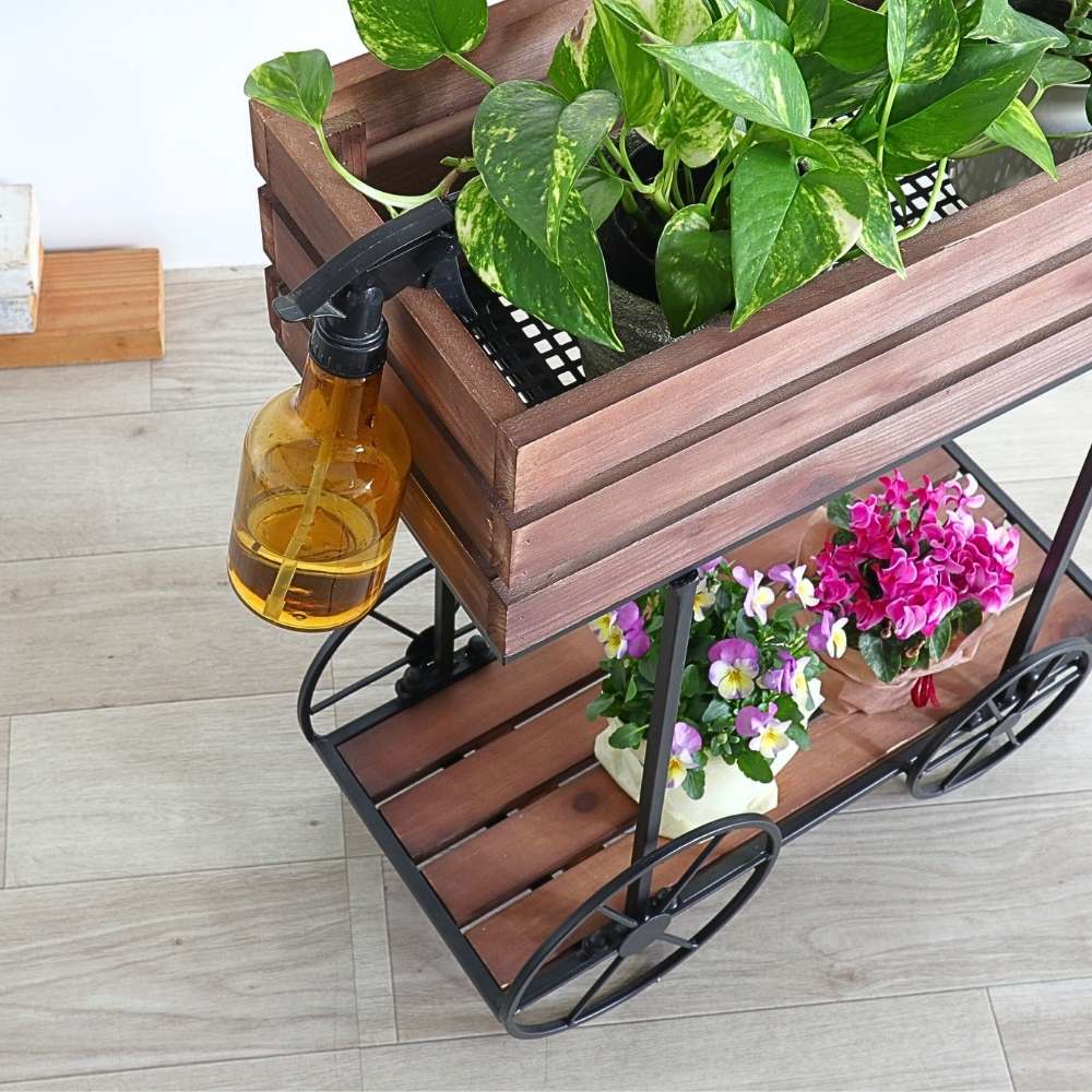 ���� �ե������� ���� �ܥå��� �⤵62cm�ä������ʥ���ƥꥢ��͢�����ߥ����ڸ������Ρ�