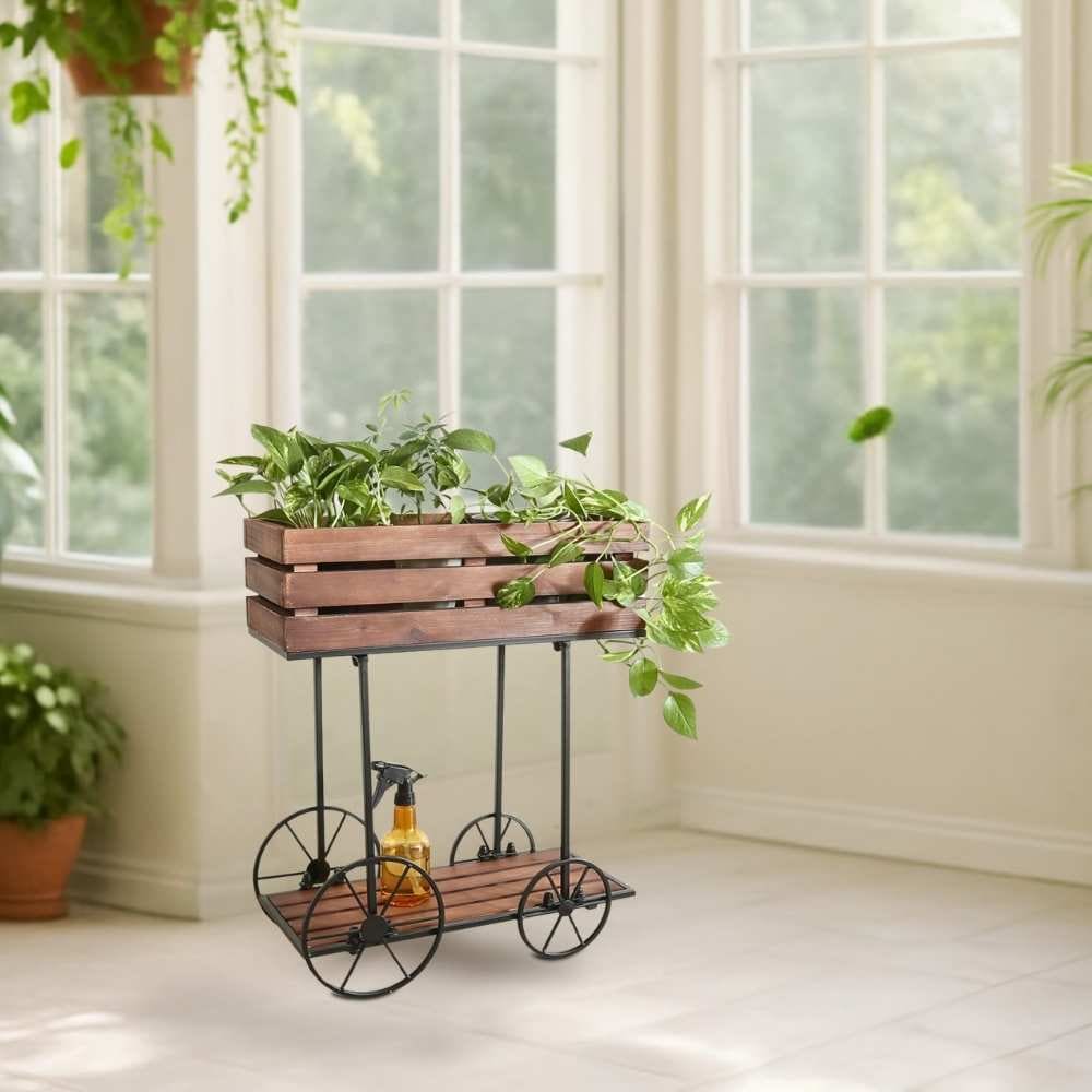 ���� �ե������� ���� �ܥå��� �⤵62cm�ä������ʥ���ƥꥢ��͢�����ߥ����ڸ������Ρ�