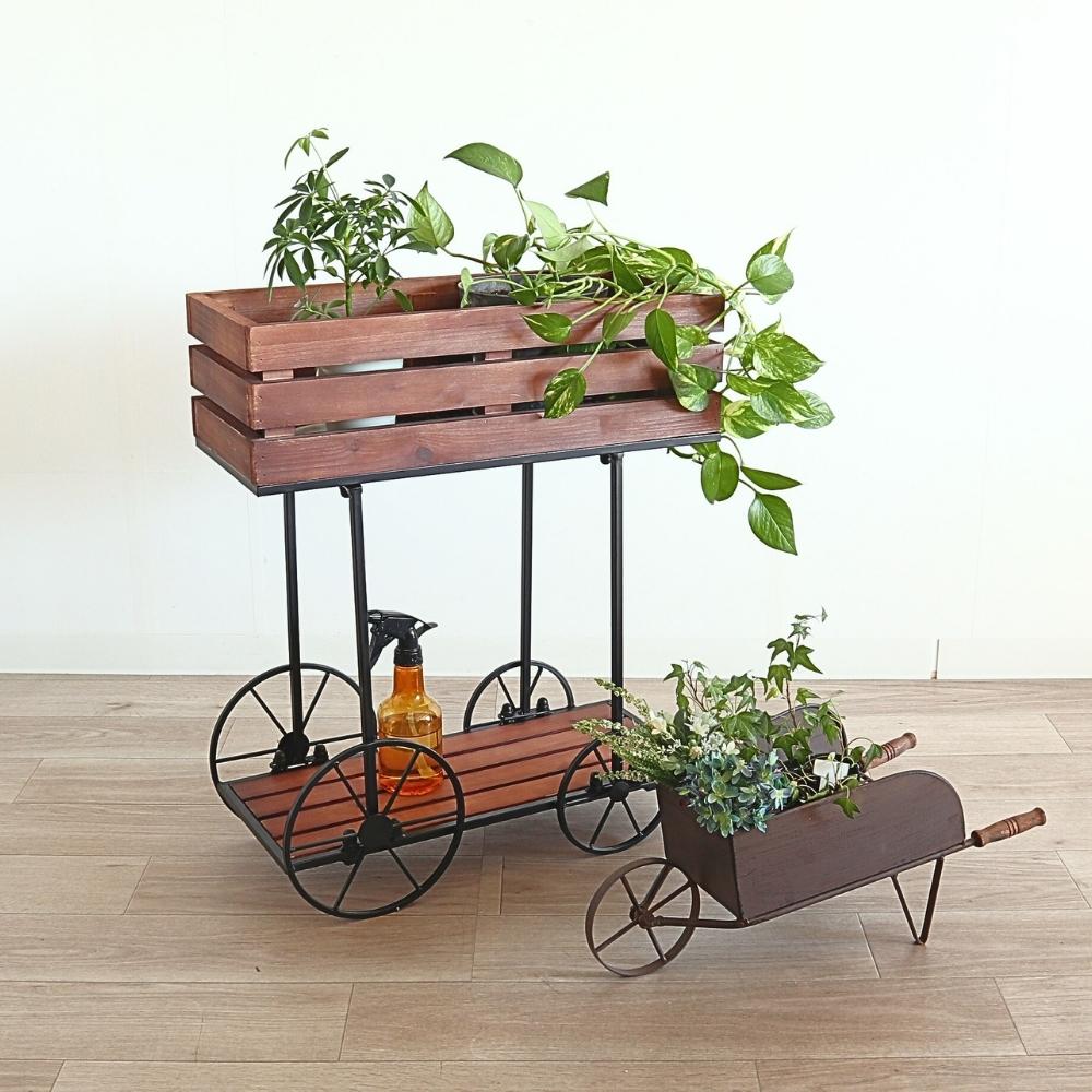 ���� �ե������� ���� �ܥå��� �⤵62cm�ä������ʥ���ƥꥢ��͢�����ߥ����ڸ������Ρ�