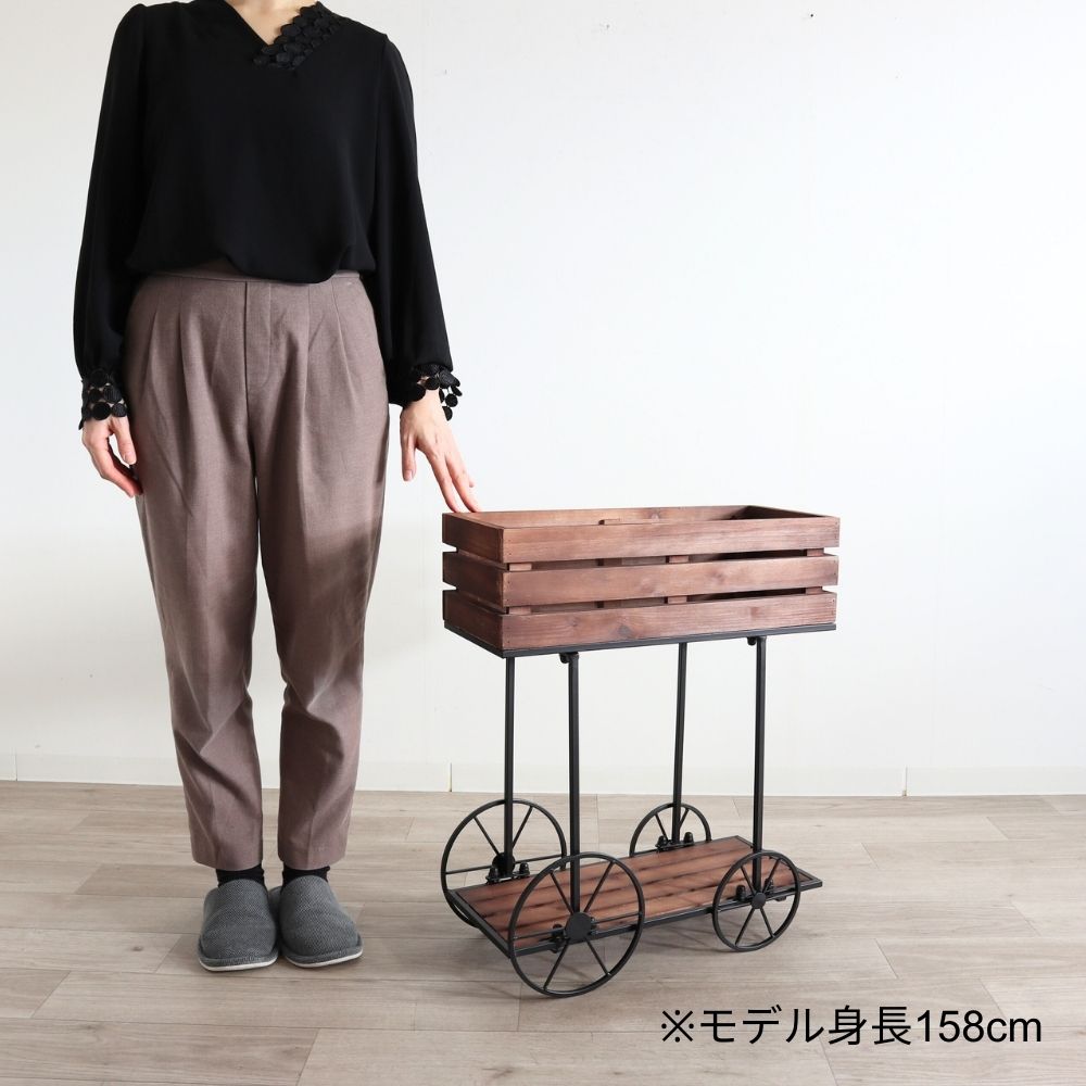 ���� �ե������� ���� �ܥå��� �⤵62cm�ä������ʥ���ƥꥢ��͢�����ߥ����ڸ������Ρ�