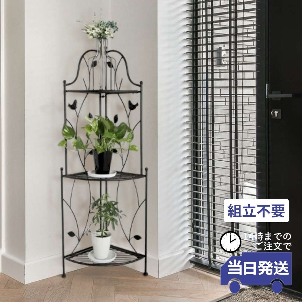 �����ʡ���å� �������� ������� �⤵111cm�ä������ʥ���ƥꥢ��͢�����ߥ����ڸ������Ρ�