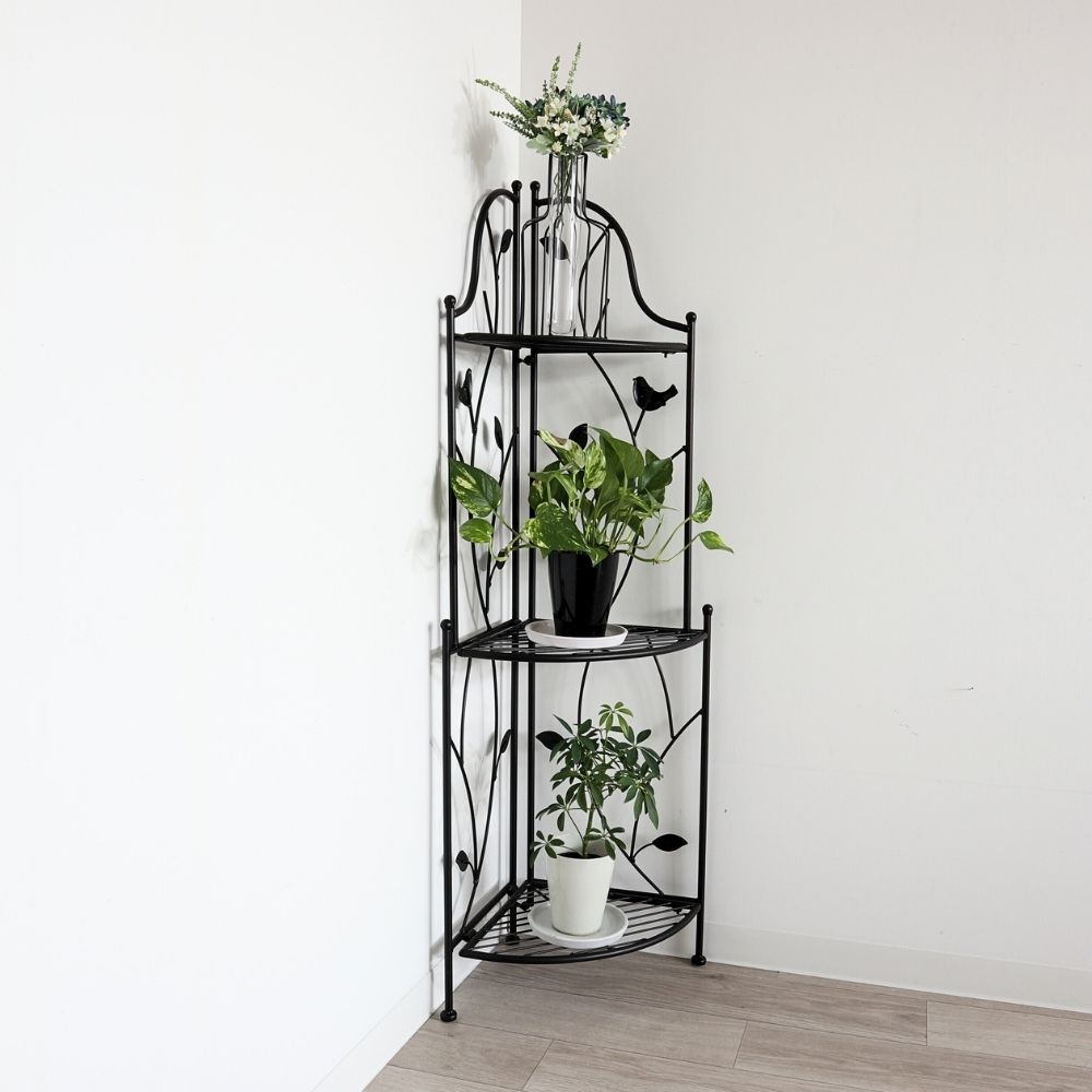 �����ʡ���å� �������� ������� �⤵111cm�ä������ʥ���ƥꥢ��͢�����ߥ����ڸ������Ρ�