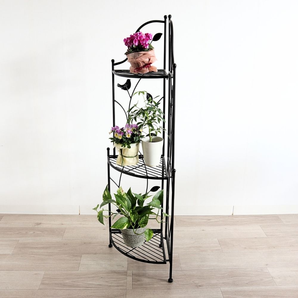 �����ʡ���å� �������� ������� �⤵111cm�ä������ʥ���ƥꥢ��͢�����ߥ����ڸ������Ρ�