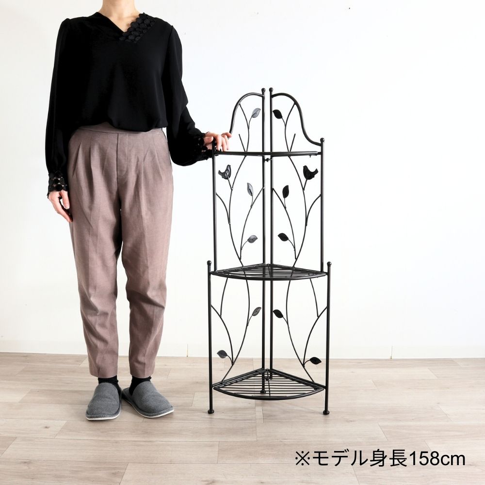 �����ʡ���å� �������� ������� �⤵111cm�ä������ʥ���ƥꥢ��͢�����ߥ����ڸ������Ρ�