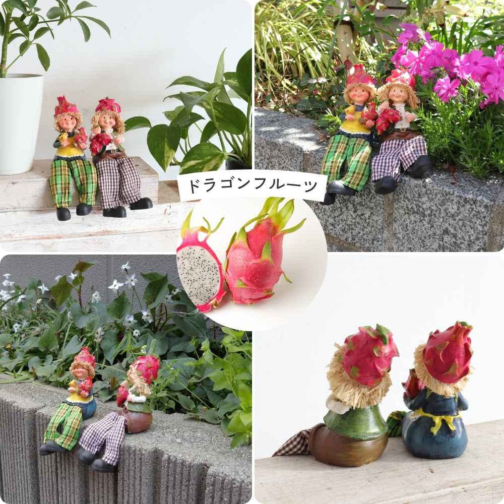 ��ʪ �����ǥ󥪡��ʥ��� ����� ��5�߹⤵9cm�ä������ʥ���ƥꥢ��͢�����ߥ����ڸ������Ρ�