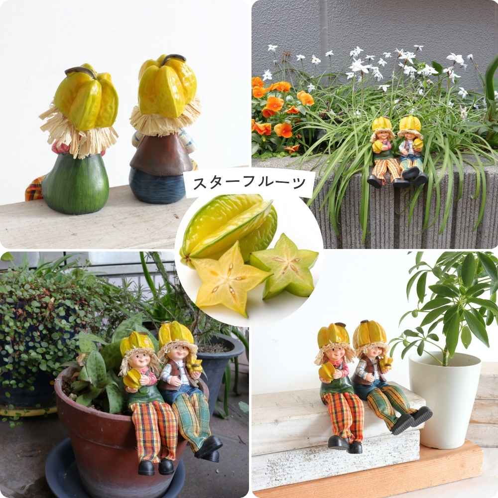 ��ʪ �����ǥ󥪡��ʥ��� ����� ��5�߹⤵9cm�ä������ʥ���ƥꥢ��͢�����ߥ����ڸ������Ρ�