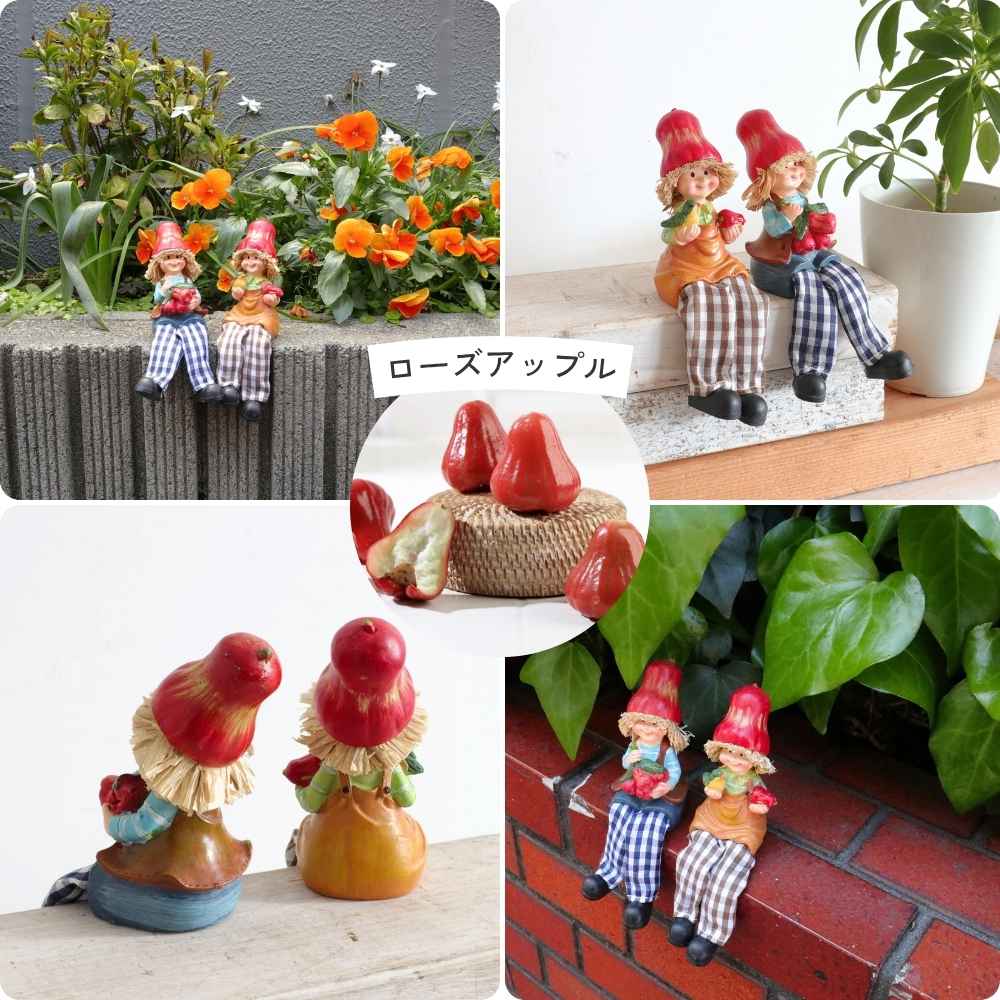 ��ʪ �����ǥ󥪡��ʥ��� ����� ��5�߹⤵9cm�ä������ʥ���ƥꥢ��͢�����ߥ����ڸ������Ρ�