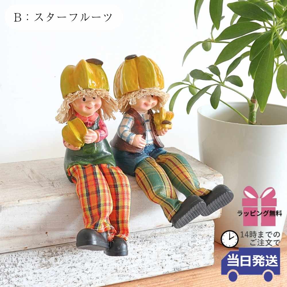 ��ʪ �����ǥ󥪡��ʥ��� ����� ��5�߹⤵9cm�ä������ʥ���ƥꥢ��͢�����ߥ����ڸ������Ρ�