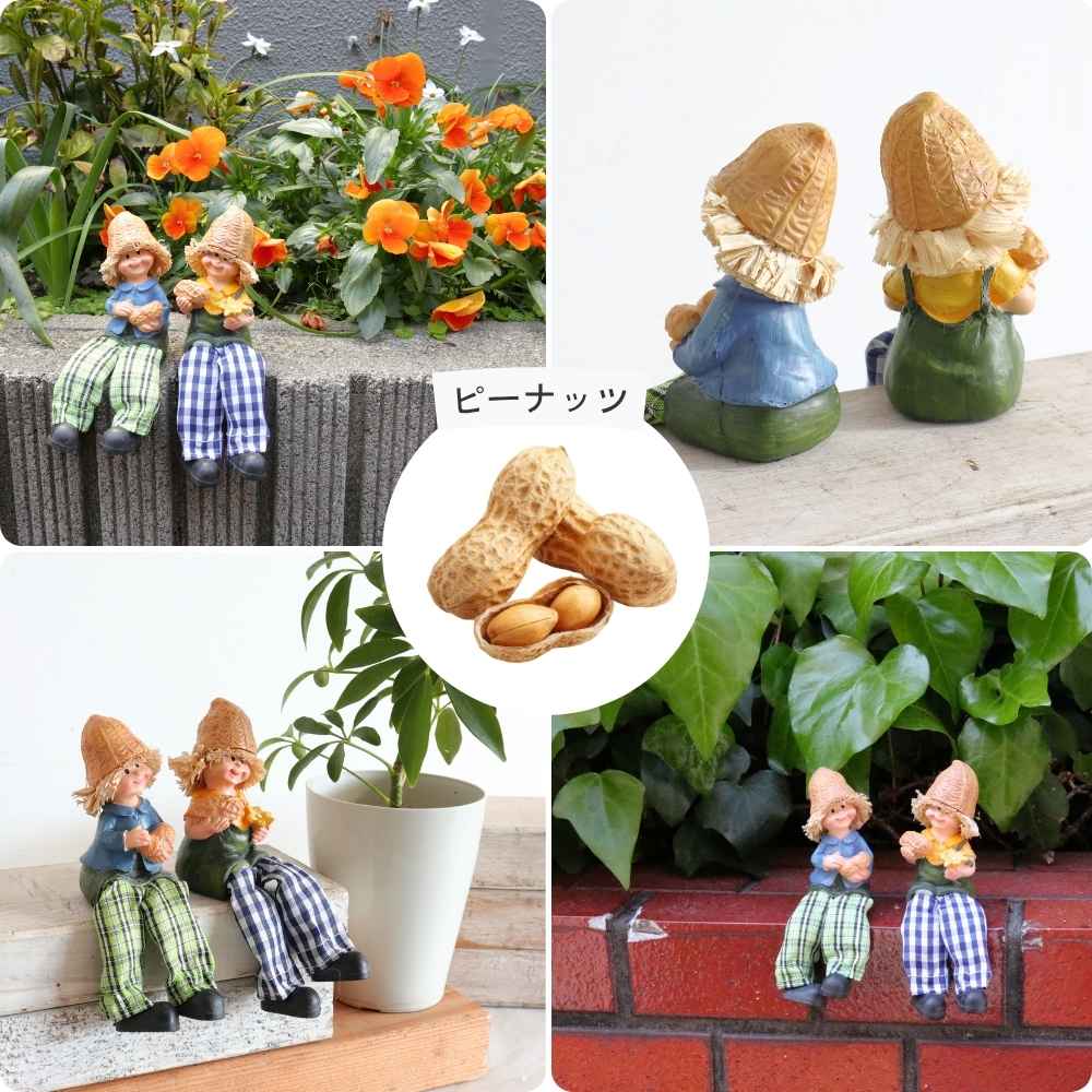 ��ʪ �����ǥ󥪡��ʥ��� ����� ��5�߹⤵9cm�ä������ʥ���ƥꥢ��͢�����ߥ����ڸ������Ρ�