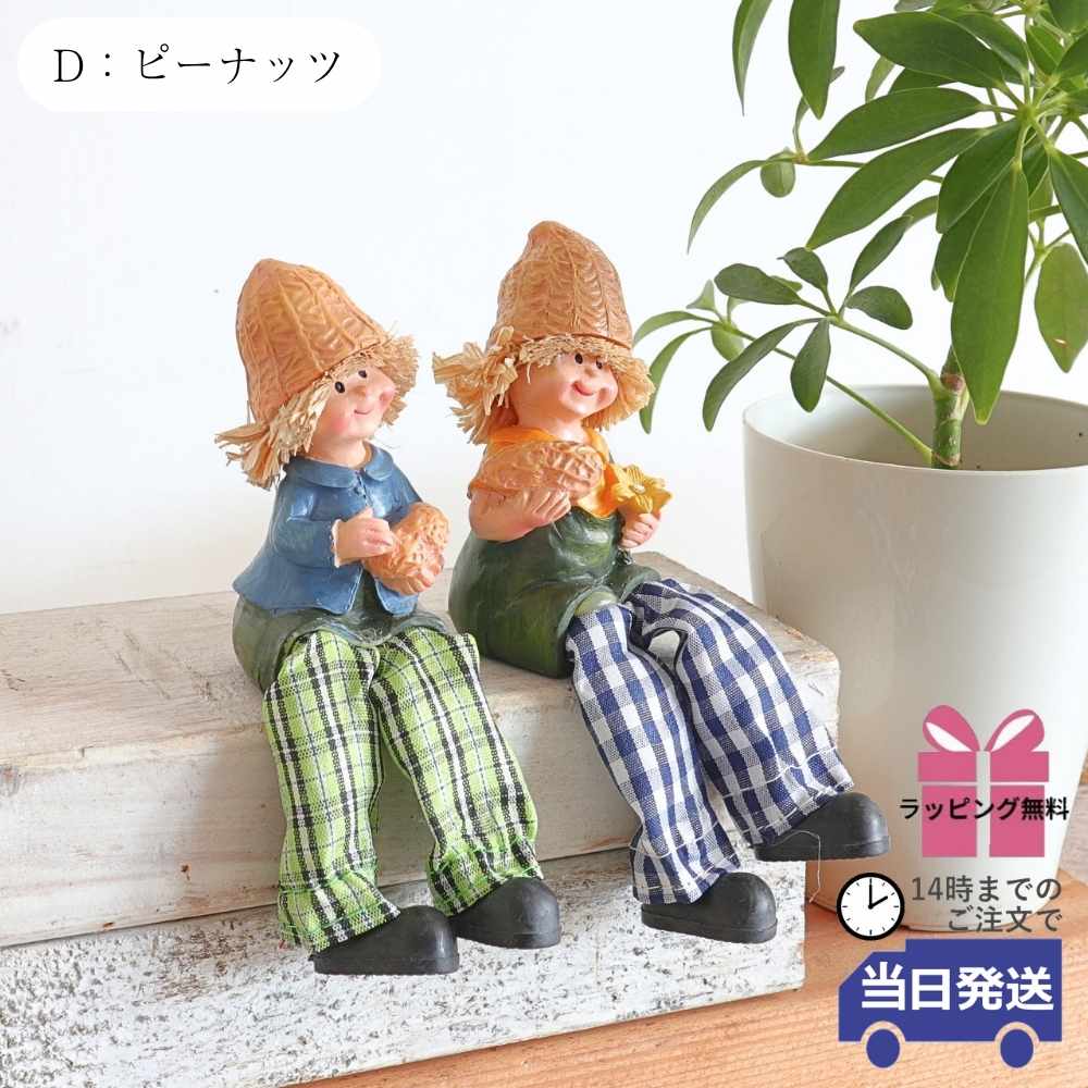 ��ʪ �����ǥ󥪡��ʥ��� ����� ��5�߹⤵9cm�ä������ʥ���ƥꥢ��͢�����ߥ����ڸ������Ρ�