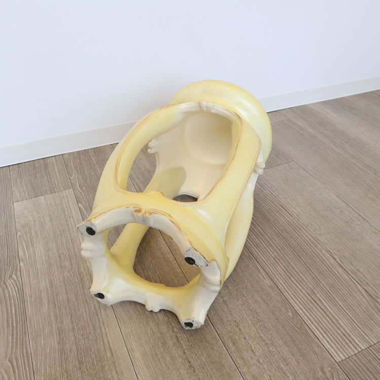 ���ġ��� �ػ� ������ ���� ���̹⤵49cm�ä������ʥ���ƥꥢ��͢�����ߥ����ڸ������Ρ�