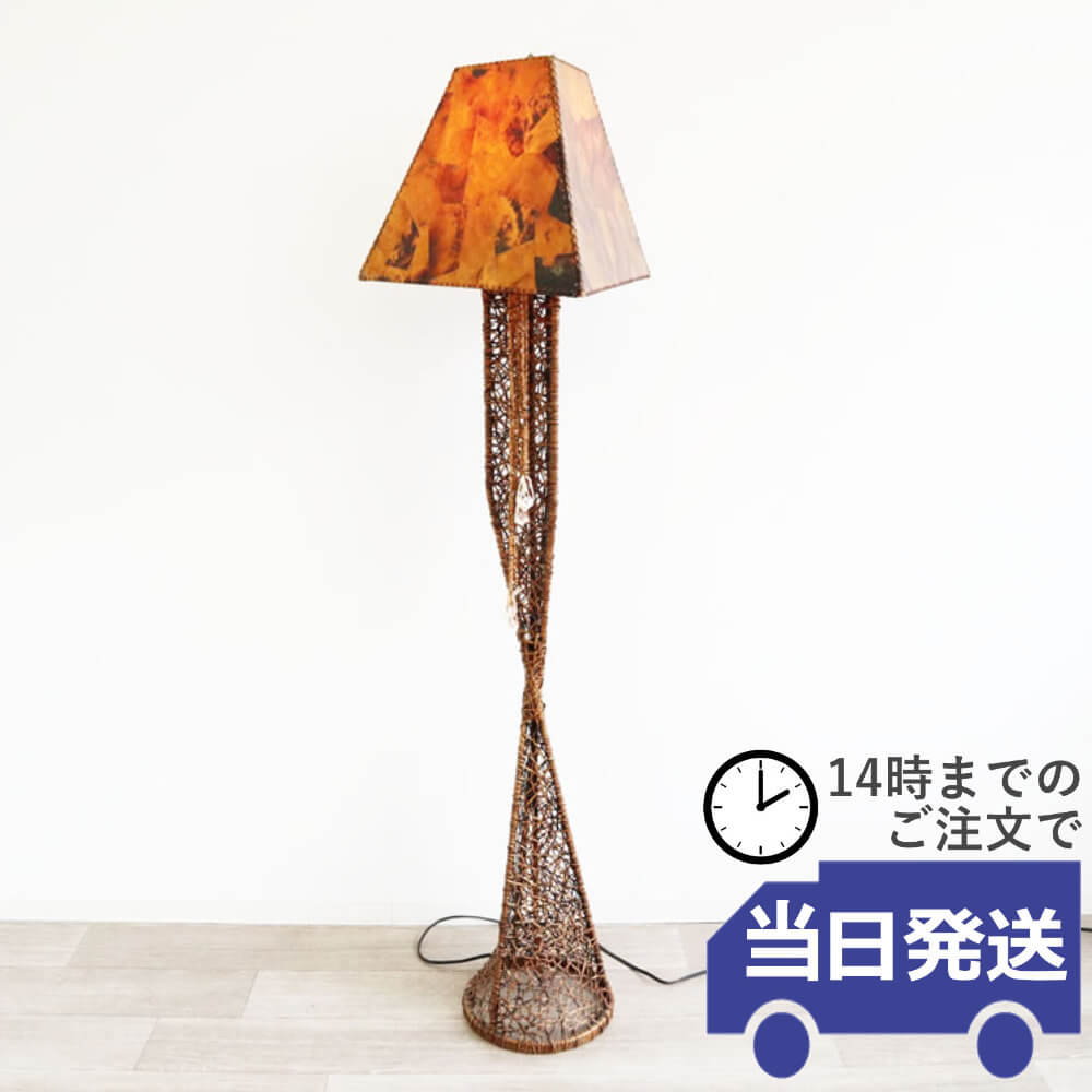 �ե���ԥ��� ������ɥ��� �饿�� ���ȶ� �⤵166cm�ä������ʥ���ƥꥢ��͢�����ߥ����ڸ������Ρ�