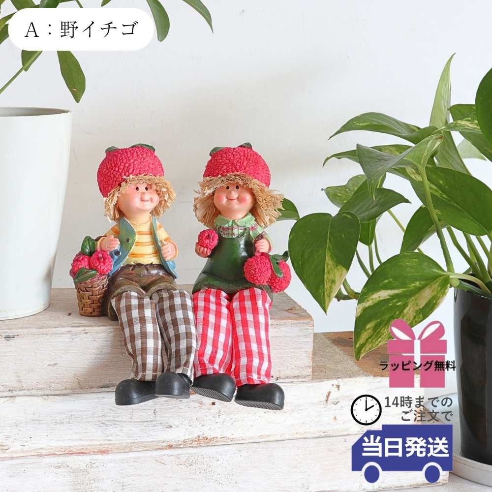 ��ʪ �����ǥ󥪡��ʥ��� ���ե� ��6�߹⤵9cm�ä������ʥ���ƥꥢ��͢�����ߥ����ڸ������Ρ�