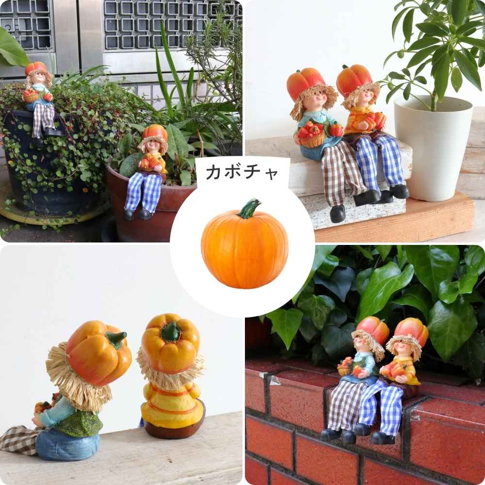 ��ʪ �����ǥ󥪡��ʥ��� ���ե� ��6�߹⤵9cm�ä������ʥ���ƥꥢ��͢�����ߥ����ڸ������Ρ�