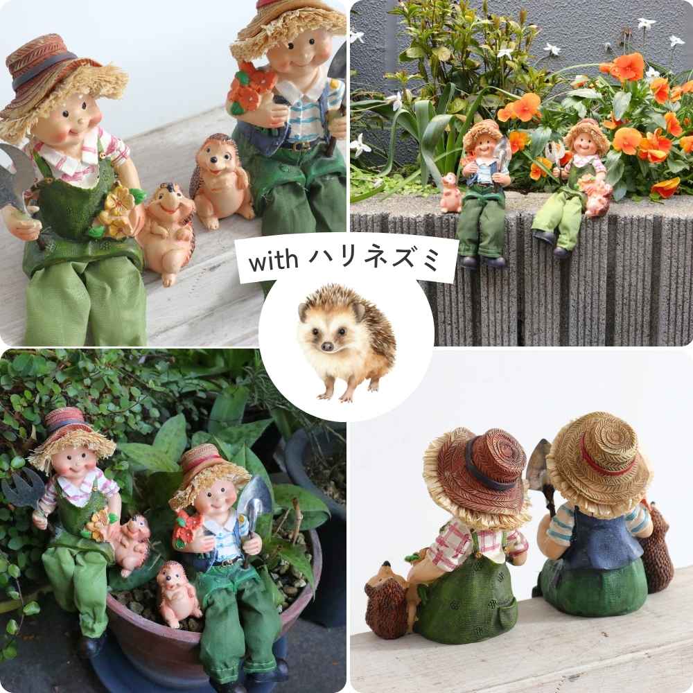 ��ʪ �����ǥ󥪡��ʥ��� ���ե� ��8�߹⤵10cm�ä������ʥ���ƥꥢ��͢�����ߥ����ڸ������Ρ�